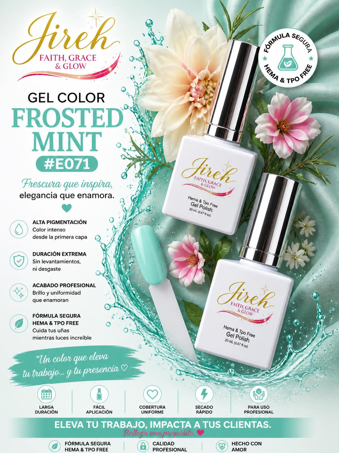 Frosted Mint Gel Color 20ML